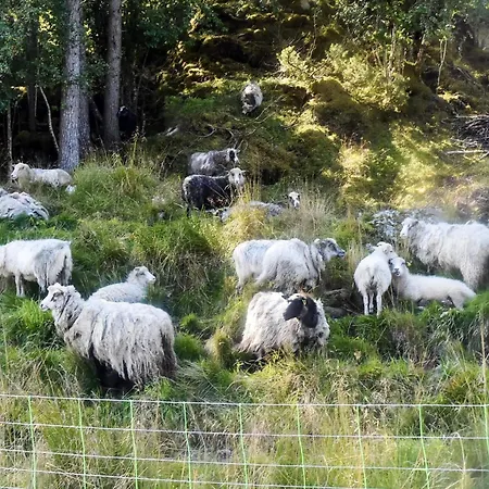 Ferienhaus 7 Person In *